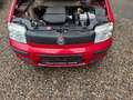 Fiat Panda 1.1 8V Active Rot - thumbnail 7