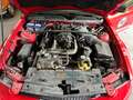 Ford Mustang shelby gt500 6500 km low km super prezzo Rouge - thumbnail 3