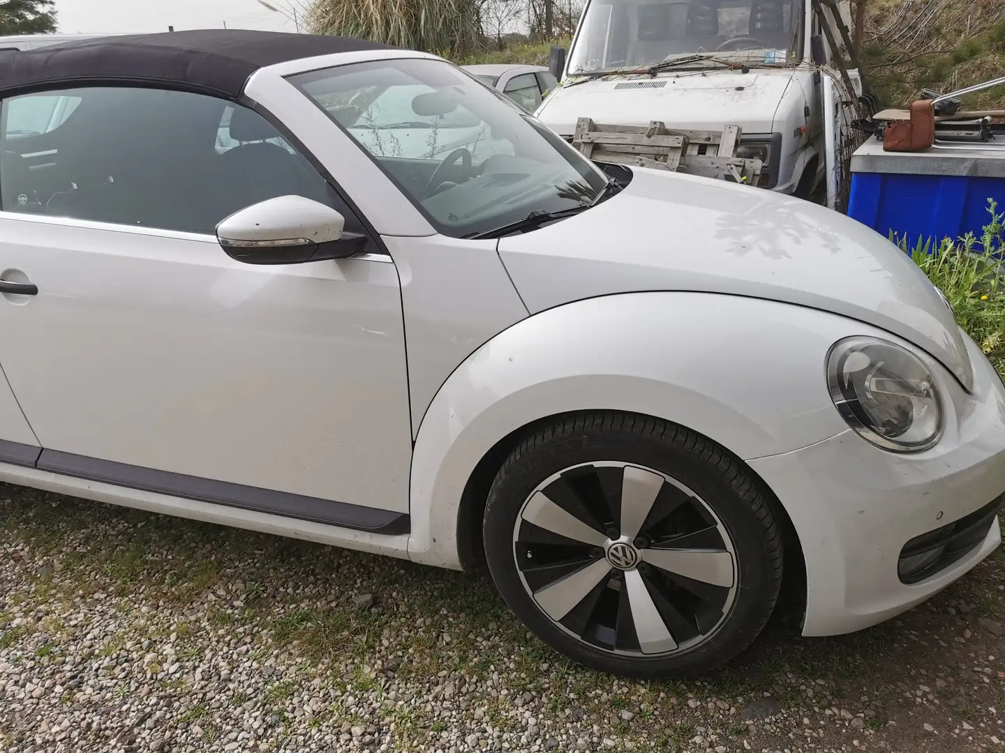 Volkswagen Beetle design Bianco - 2