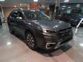 Subaru OUTBACK 2.5 Touring CVT Grau - thumbnail 16