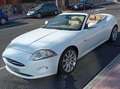 Jaguar XK XK Convertible 4.2L V8 Aut. Blanco - thumbnail 1