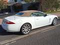 Jaguar XK XK Convertible 4.2L V8 Aut. Blanco - thumbnail 7