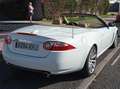 Jaguar XK XK Convertible 4.2L V8 Aut. Blanco - thumbnail 4