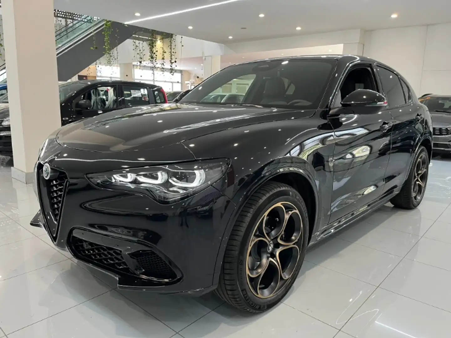 Alfa Romeo Stelvio 2.2 Turbo Intensa Noir - 1