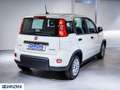 Fiat Panda 1.0 FireFly S&S Hybrid Nuova da Ordinare Blanc - thumbnail 7