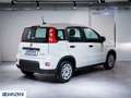 Fiat Panda 1.0 FireFly S&S Hybrid Nuova da Ordinare Blanc - thumbnail 6