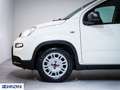 Fiat Panda 1.0 FireFly S&S Hybrid Nuova da Ordinare Blanc - thumbnail 8