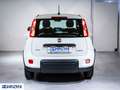 Fiat Panda 1.0 FireFly S&S Hybrid Nuova da Ordinare Blanc - thumbnail 5