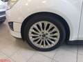 Ford C-Max C-Max 1.6 TDCi 115CV Titanium Blanc - thumbnail 21