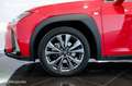 Lexus UX 250h 2WD F - Sport Rojo - thumbnail 22