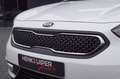 Kia Niro 1.6 GDi Hybrid Dynamic Line/ Navi / Camera / Trekh Wit - thumbnail 22