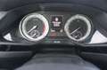 Skoda Superb 2,0 TSI 4x4 Laurin & Klement DSG Grau - thumbnail 15