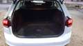 Volkswagen Passat Variant 2.0 tdi  150cv dsg Blanco - thumbnail 16