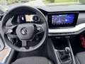 Skoda Octavia Octavia SW 1.0 TSI Family CARNET SKODA! GARANTIE Blanc - thumbnail 12