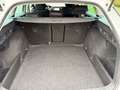 Skoda Octavia Octavia SW 1.0 TSI Family CARNET SKODA! GARANTIE Blanc - thumbnail 6