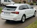 Skoda Octavia Octavia SW 1.0 TSI Family CARNET SKODA! GARANTIE Blanc - thumbnail 4