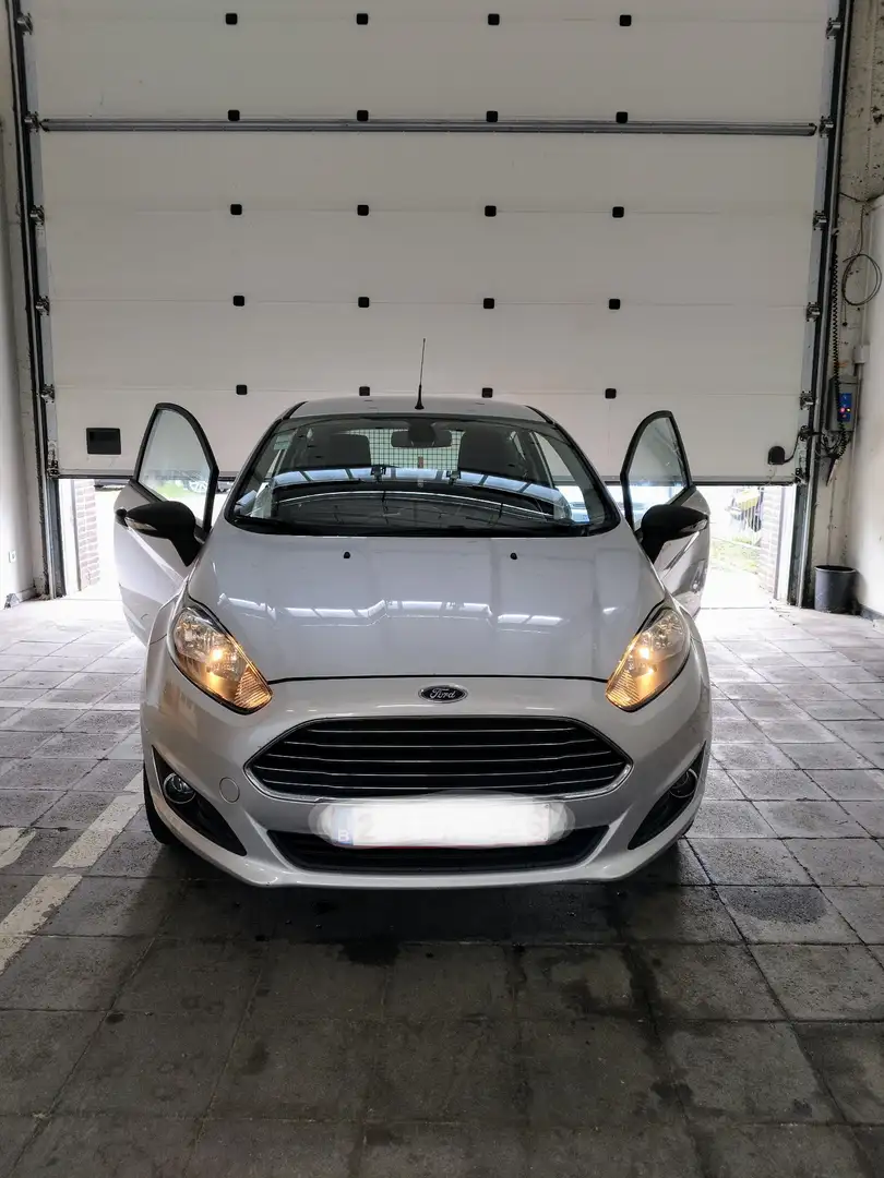 Ford Fiesta TDCi euro5 - 1