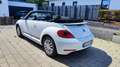Volkswagen Beetle The Cabriolet 1.2 TSI CUP - thumbnail 3