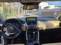 Lexus NX 300h NX 300h Luxury 4WD Luxury - thumbnail 13