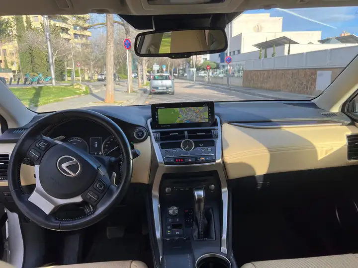 Lexus NX 300h F Luxury 2020, foto 13