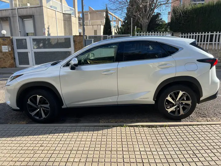 Lexus NX 300h F Luxury 2020, foto 4