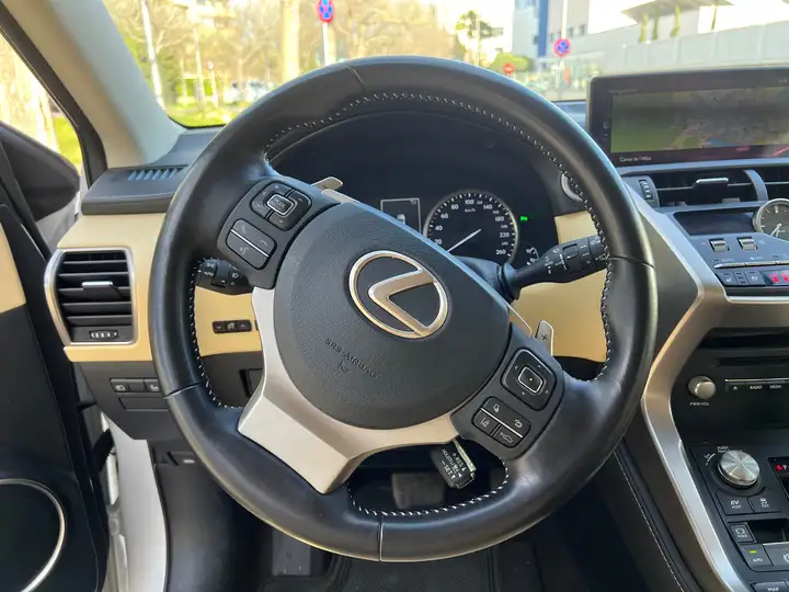 Lexus NX 300h F Luxury 2020, foto 14
