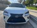 Lexus NX 300h NX 300h Luxury 4WD Luxury - thumbnail 1