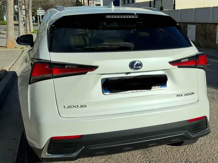 Lexus NX 300h F Luxury 2020, foto 5