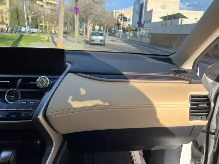 Lexus NX 300h F Luxury 2020, foto 17