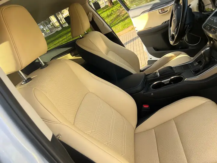 Lexus NX 300h F Luxury 2020, foto 22
