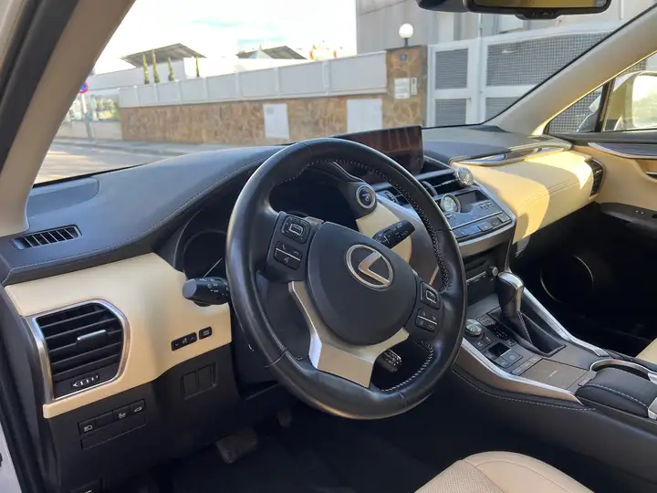 Lexus NX 300h F Luxury 2020, foto 16