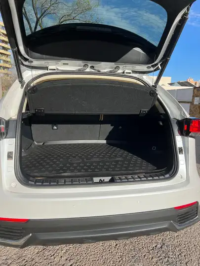 Lexus NX 300h F Luxury 2020, foto 11