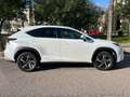Lexus NX 300h NX 300h Luxury 4WD Luxury - thumbnail 8