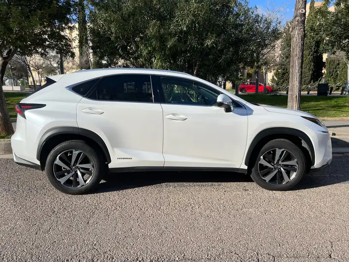 Lexus NX 300h F Luxury 2020, foto 8