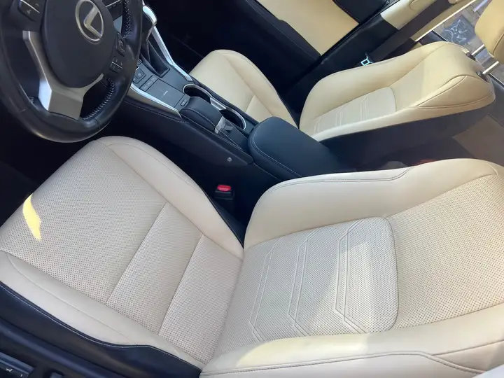 Lexus NX 300h F Luxury 2020, foto 18