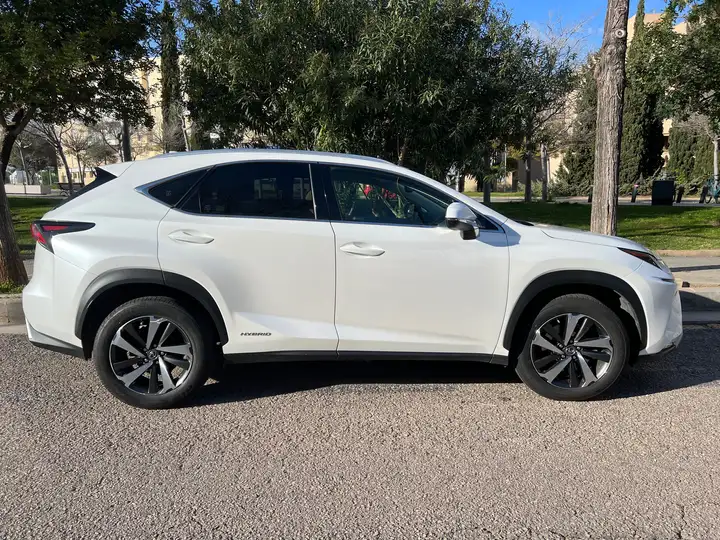 Lexus NX 300h F Luxury 2020, foto 7