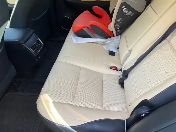 Lexus NX 300h F Luxury 2020, foto 19