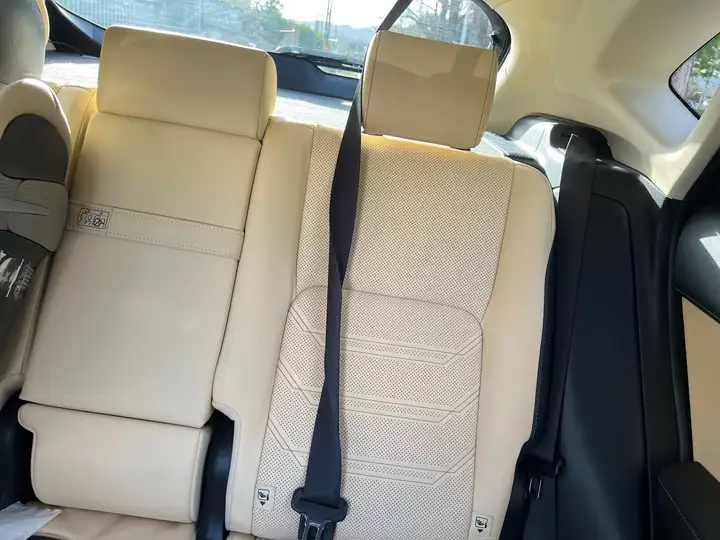 Lexus NX 300h F Luxury 2020, foto 20