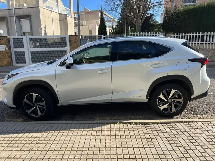 Lexus NX 300h F Luxury 2020, foto 3