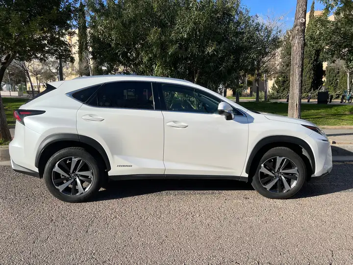Lexus NX 300h F Luxury 2020, foto 6