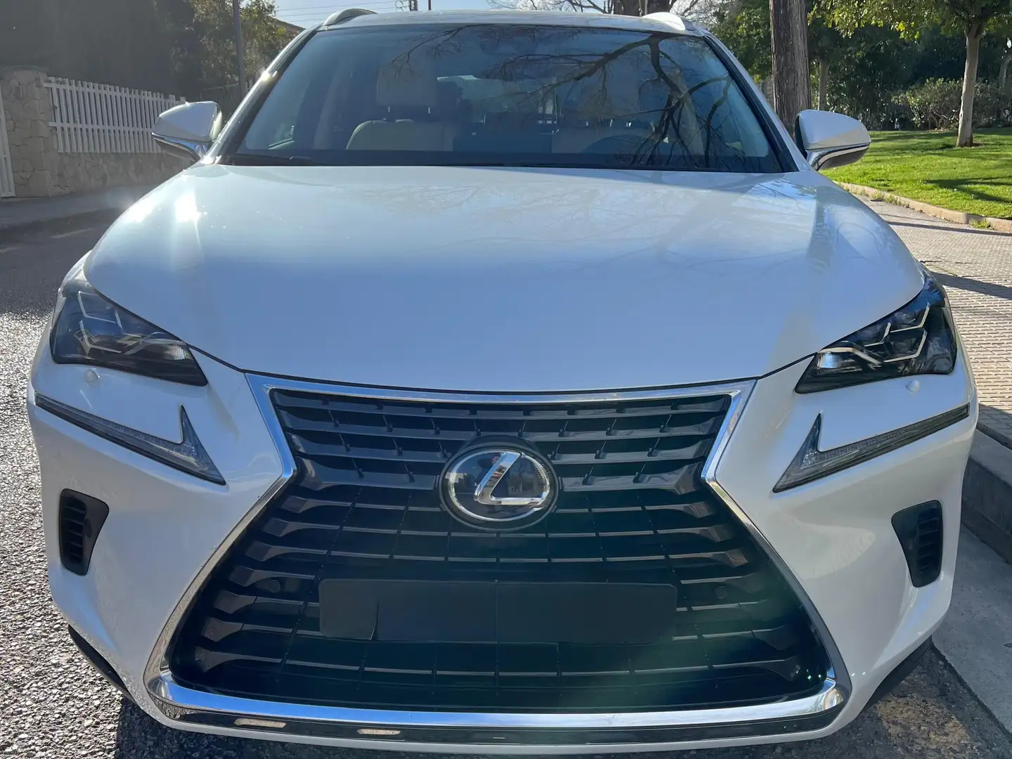 Lexus NX 300h NX 300h Luxury 4WD Luxury - 2