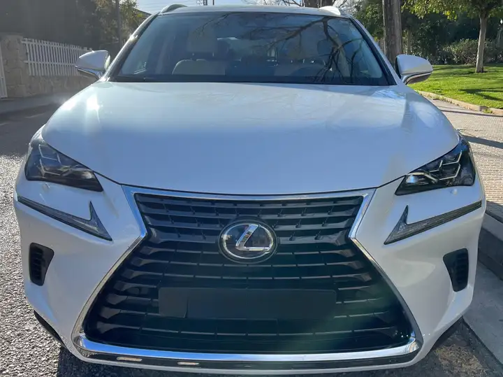 Lexus NX 300h F Luxury 2020, foto 2