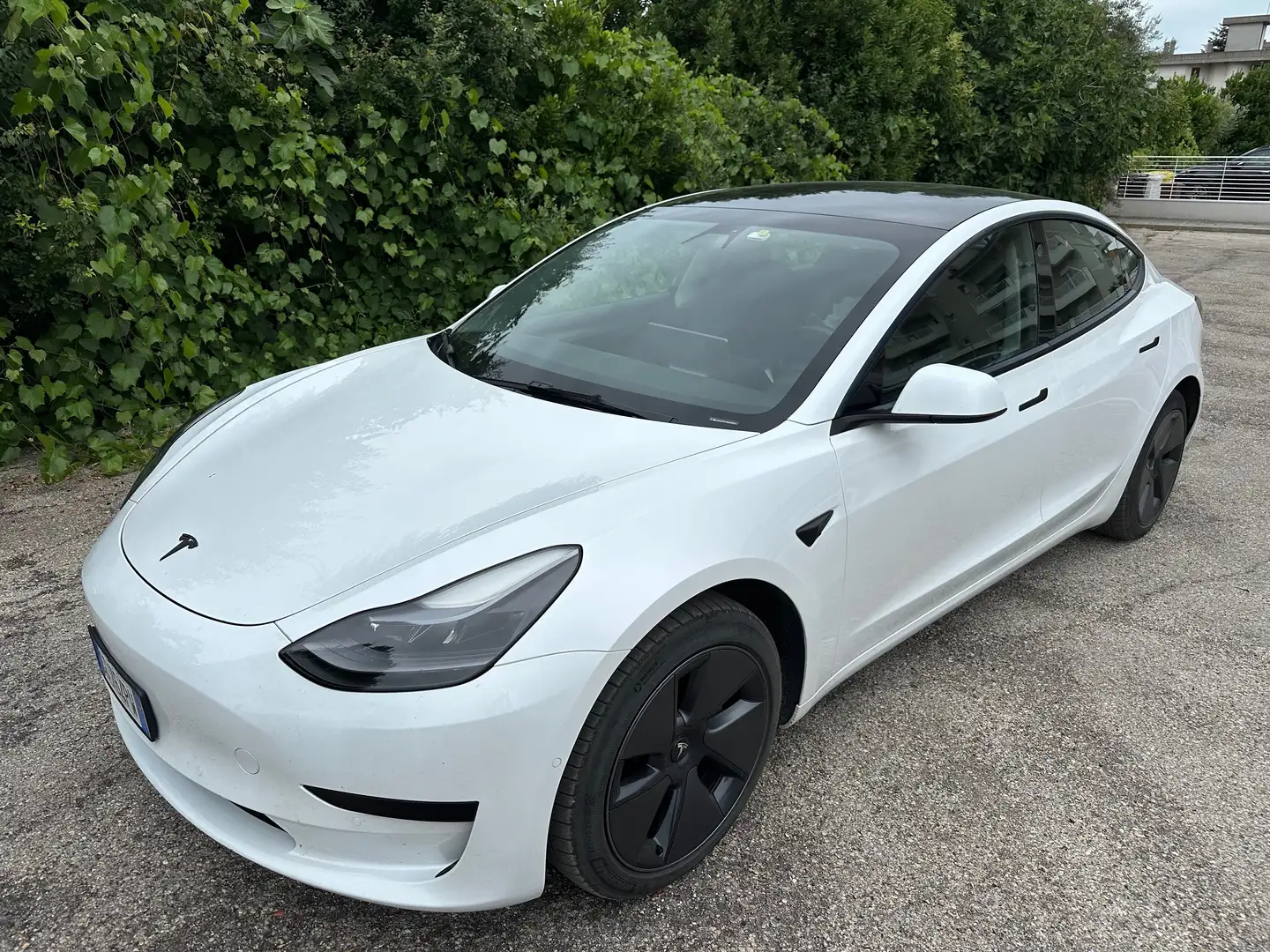 Tesla Model 3 RWD STANDARD RANGE PLUS Bianco - 1