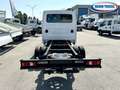 Iveco Daily 35C160 Doppia Cabina New Model 2024 p.3450 Blanc - thumbnail 6