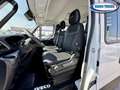 Iveco Daily 35C160 Doppia Cabina New Model 2024 p.3450 Blanc - thumbnail 8