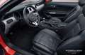 Ford Mustang Convertible 5.0 GT manual, 28.500km Oranje - thumbnail 7