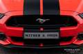 Ford Mustang Convertible 5.0 GT manual, 28.500km Oranje - thumbnail 14
