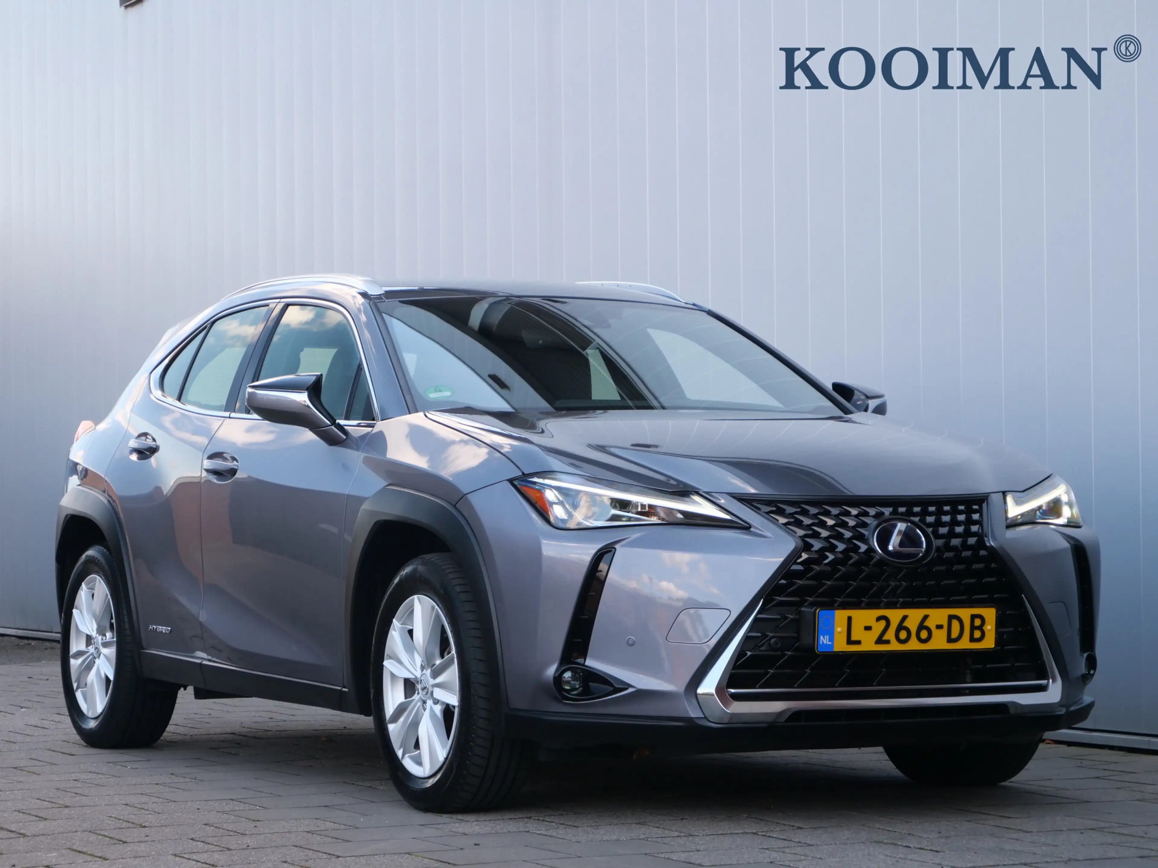 Lexus UX 250h Business Line Pro 184 Pk Automaat Navi / DAB / App