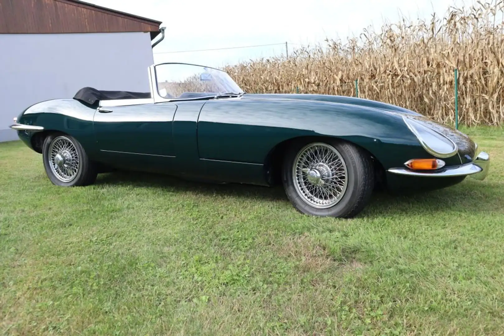 Jaguar E-Type - 2