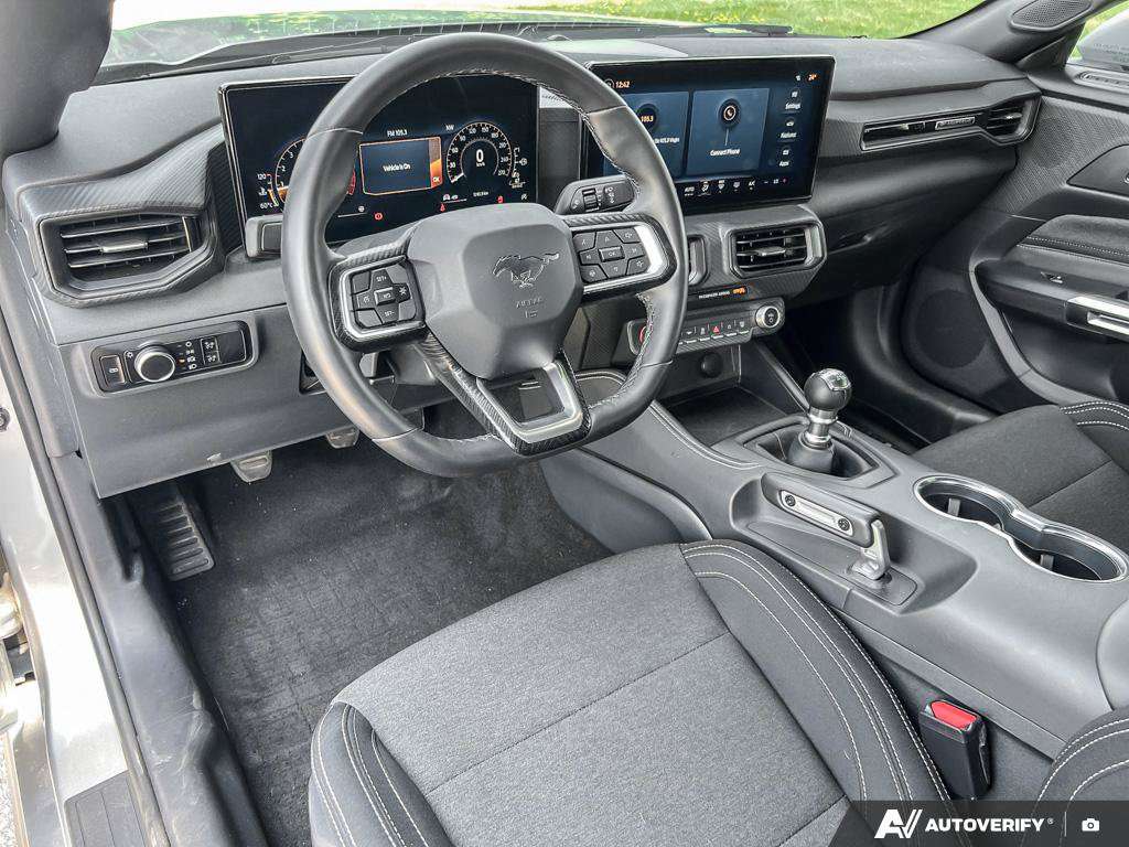 Image 11